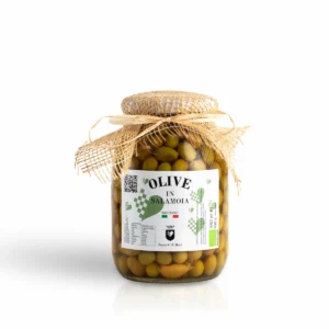 Olive in Salamoia BIO