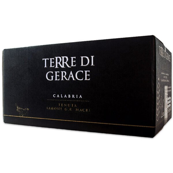 6 bottiglie di Terre di Gerace IGP Locride Rosato - immagine 2